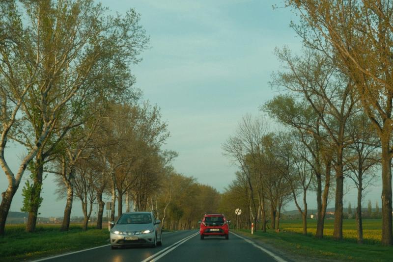 Drogi i wypadki Kielce - Zdjęcie podglądowe artykułu